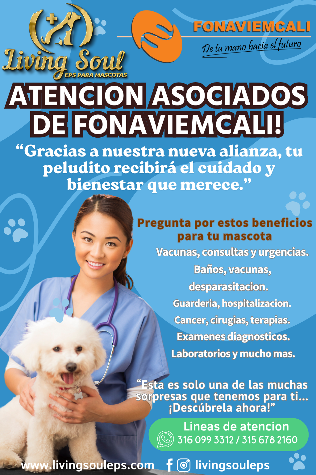 Imagen del blog