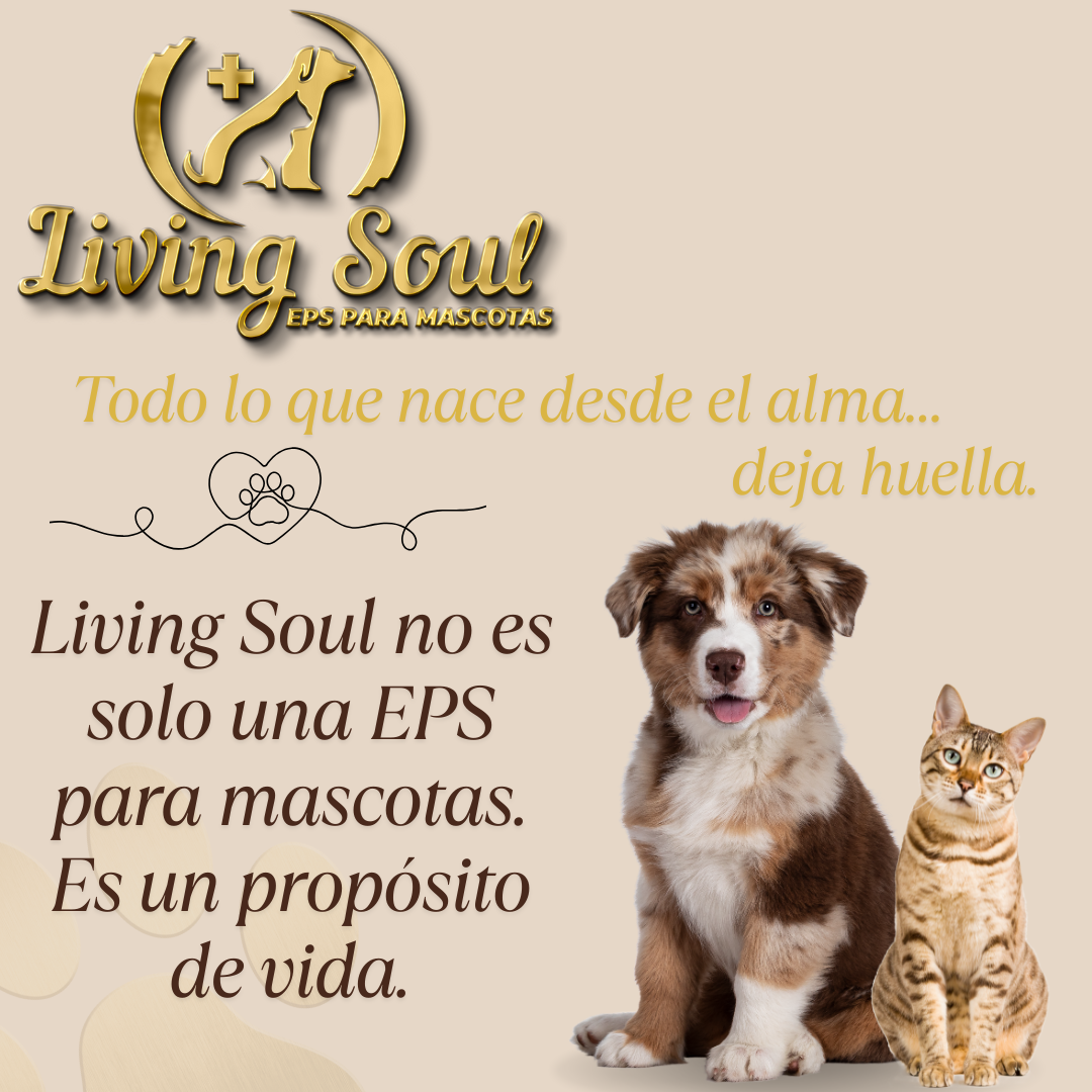 Imagen del blog