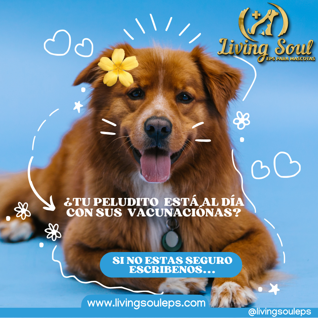Imagen del blog